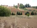 Matanza de los Oteros